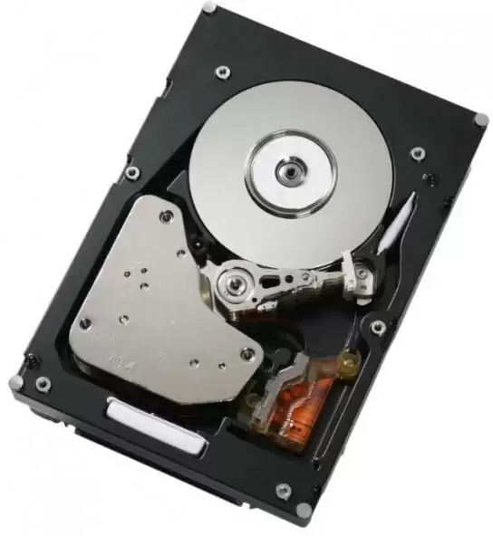 IBM 81Y9944 300GB SAS 6Gb/s 15000RPM 2.5-inch Internal Hard Drive