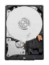 Western Digital AV-GP 160GB 7200RPM SATA 3Gb/s 8MB Cache 3.5-inch Hard Drive WD1600AVVS-00L2B0