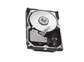IBM 6TB SAS 12Gb/s Nearline 7200RPM 3.5-inch Internal Hard Drive with Tray 00RX931