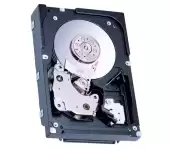 Fujitsu Enterprise 73.5GB 15000RPM SAS 3GB/s 8MB Cache 3.5-inch Internal Hard Disk Drive CA06697-B20