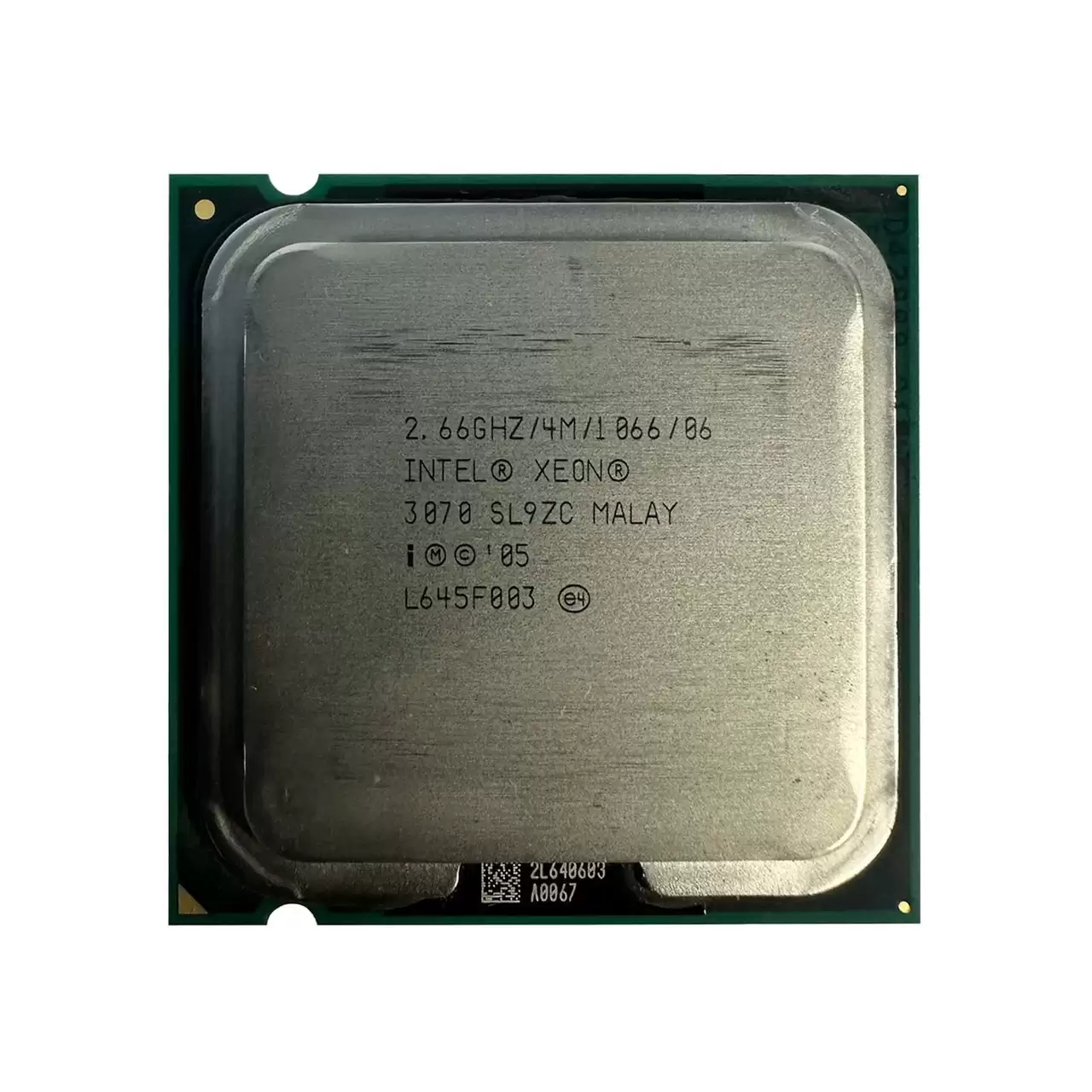 SL9ZC.webp