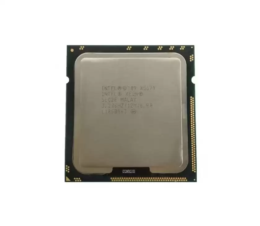 SLC2E.webp