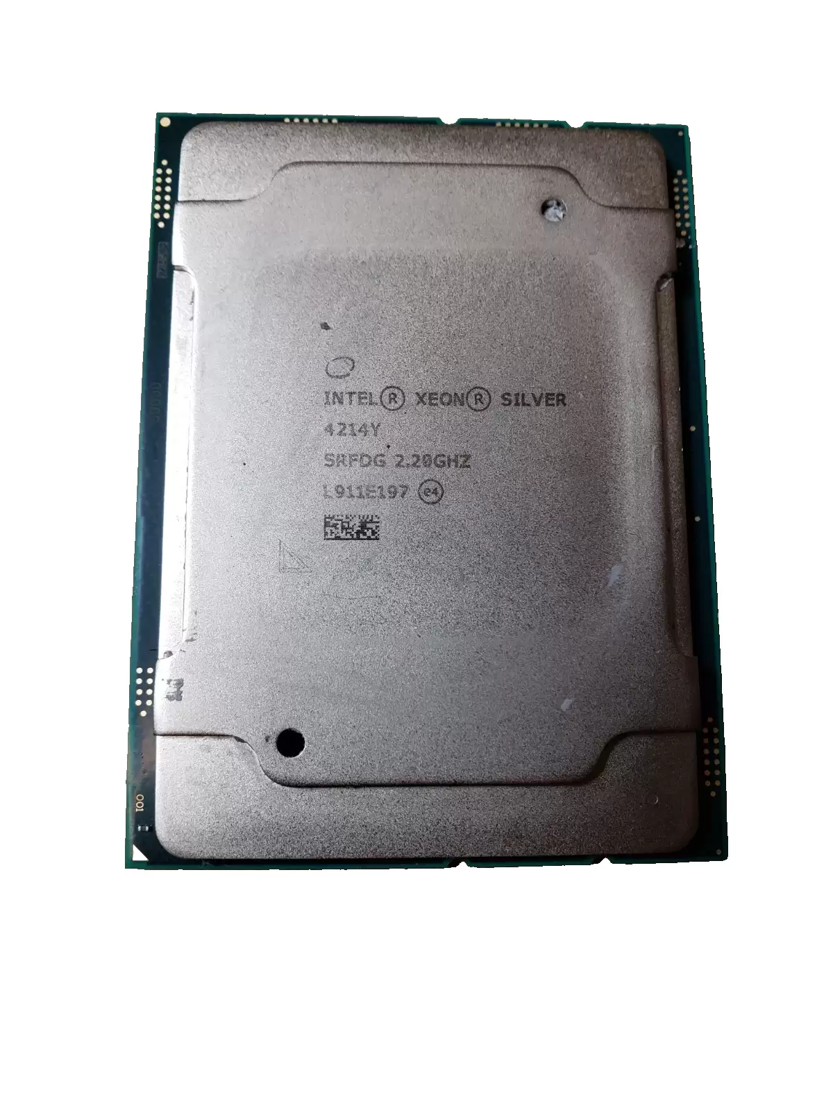 SRFDG.webp