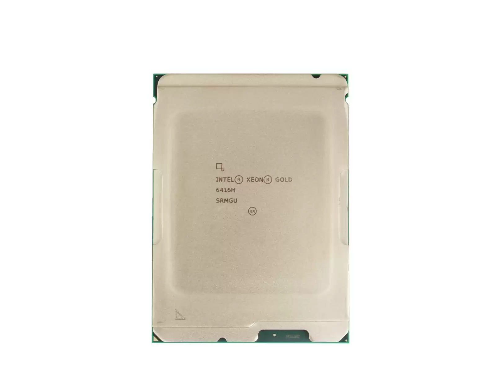 SRMGU.webp