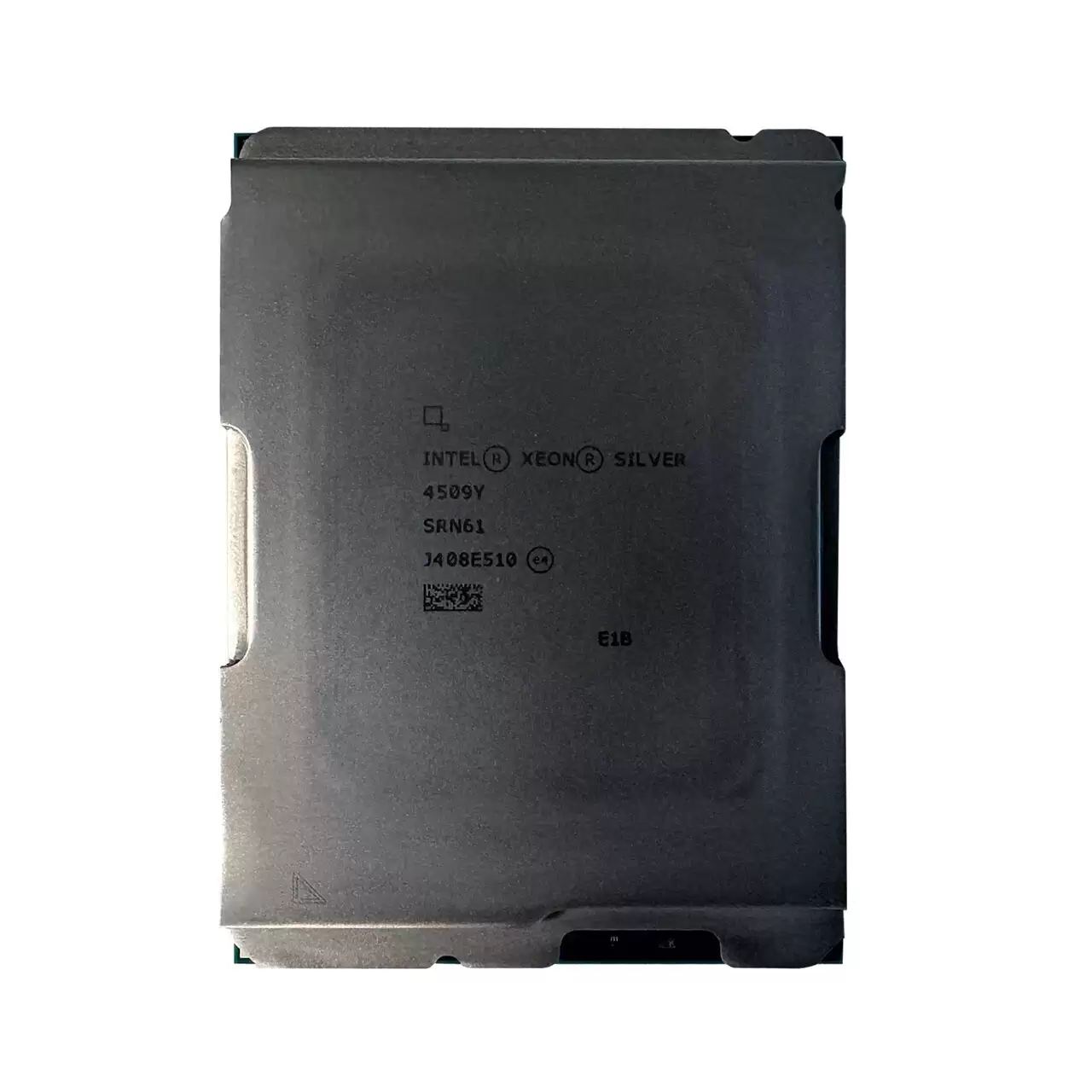 SRN61.webp
